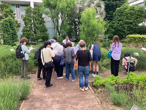 薬用植物園実習の様子その2